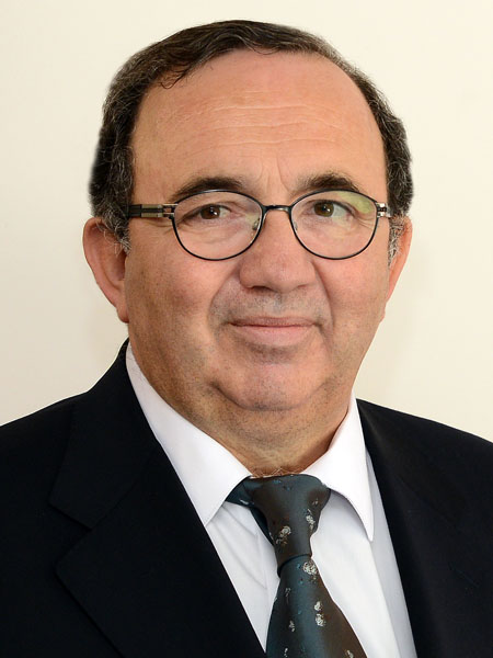 Sr. D. José Orihuela Calatayud